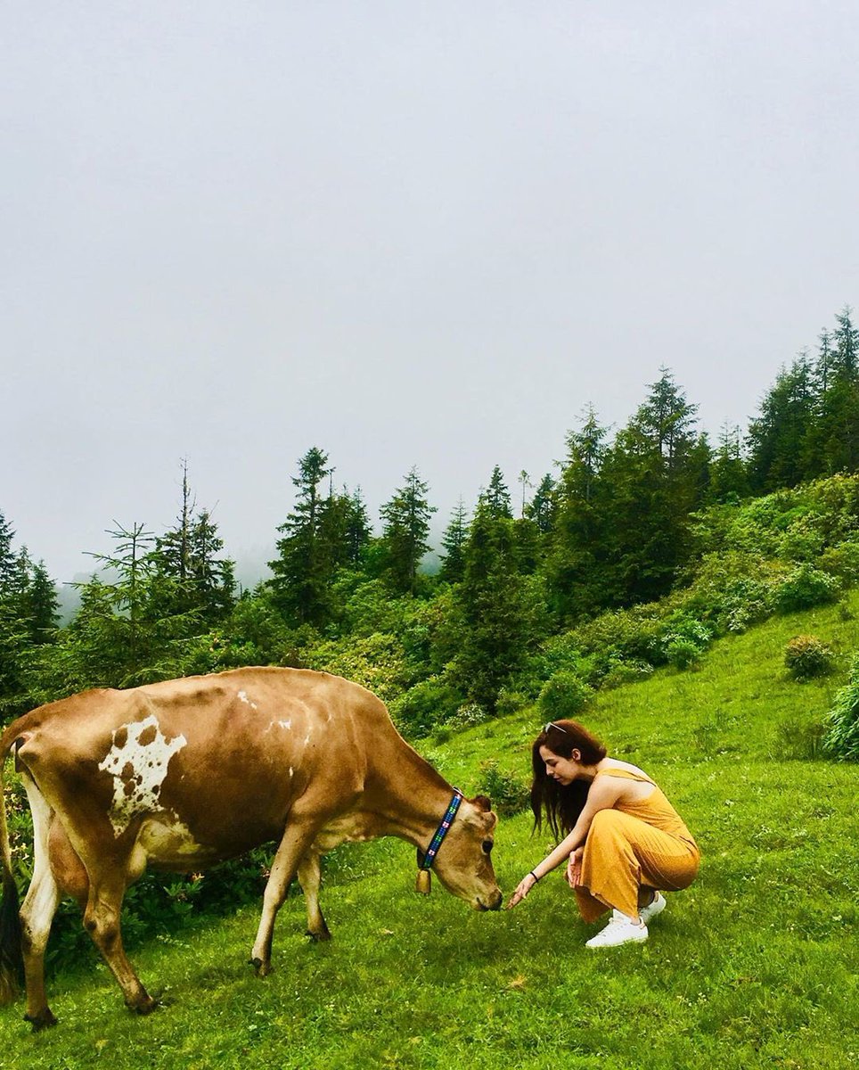 İç içe doğa ile 💚