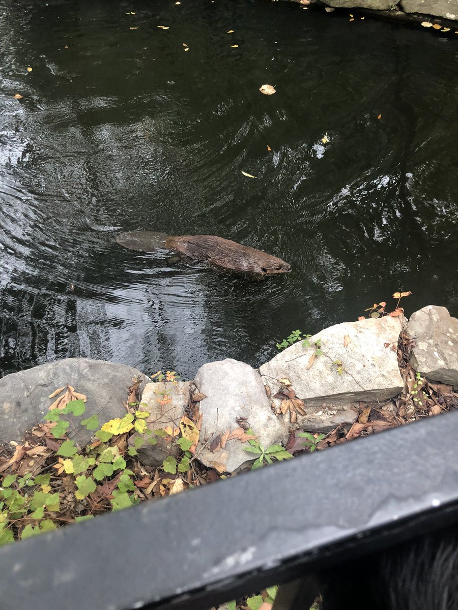 Lockheed2C's tweet photo. Fun day of learning about creek and Cherokee at the Chattahoochee nature center. ✈️ https://t.co/oRyPFgX93R