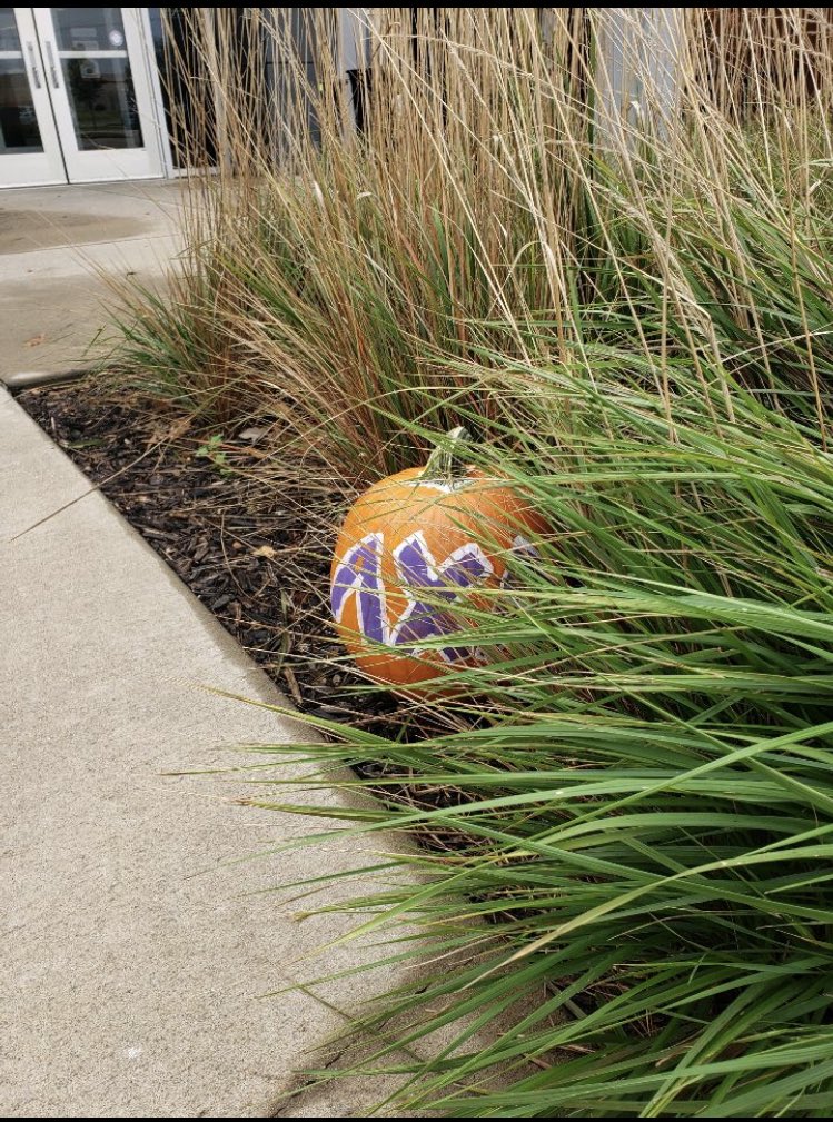 PittStateLCA's tweet image. The pumpkin is on the loose again! First team to return it gets 20 points @ASA_EtaEta @PittStateSigmas @PittStateAGD