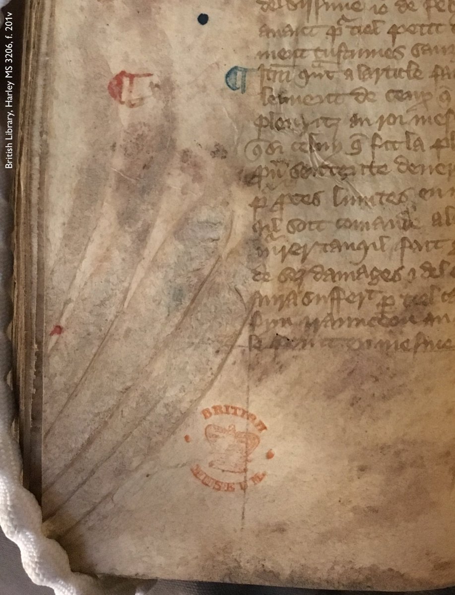 Photograph of part of a leaf from a medieval manuscript. The leaf bears multiple lines of text, and the underlying parchment shows several long, rough, curving depressions. Caused during slaughter and known as ‘flay-marks’, they resemble scars left by a swipe from giant claws. 
