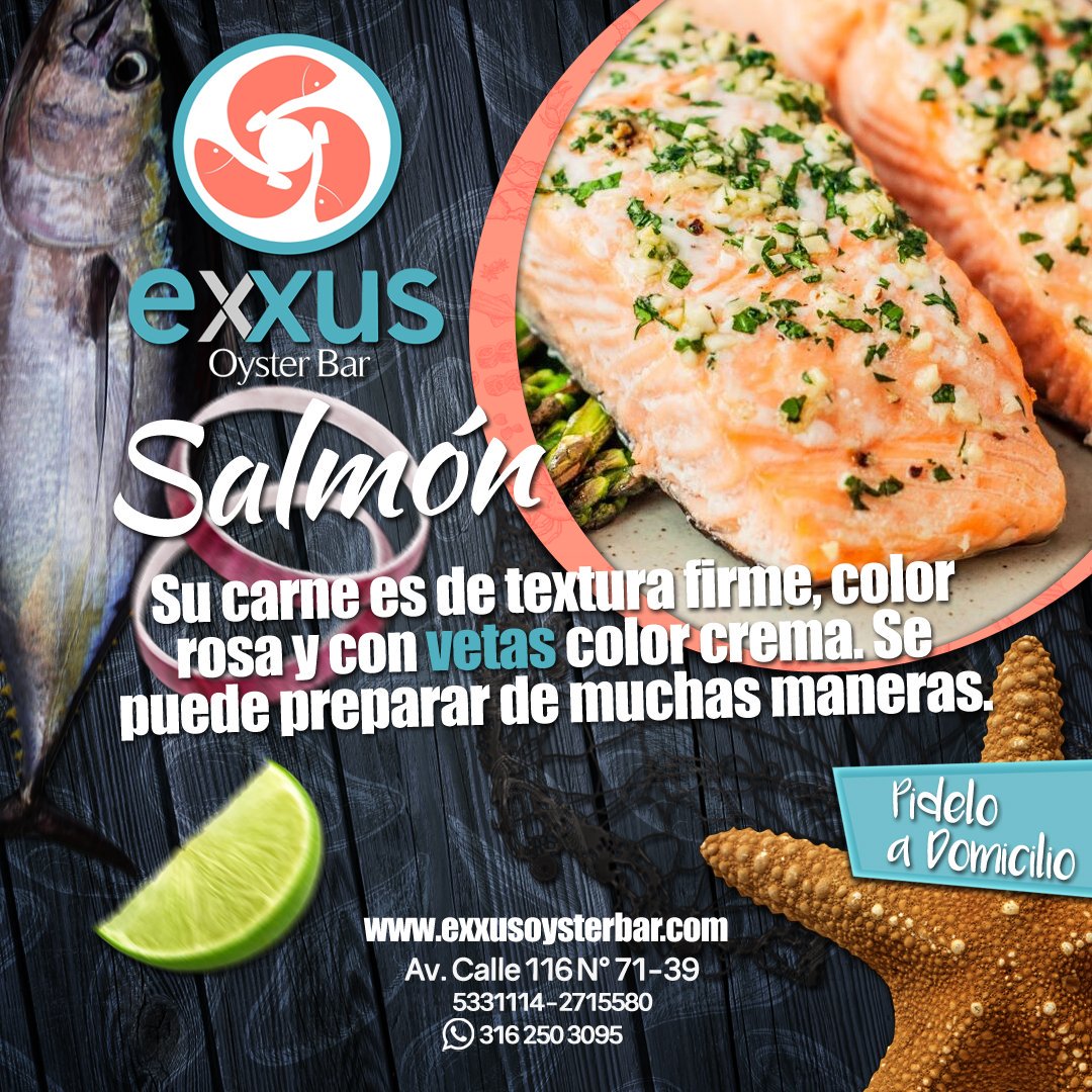 ExxusOysterBar's tweet photo. Hemos remodelado nuestra página web para que puedas tener acceso completo a nuestro servicio de reservas, pedidos online, chat de WhatsApp y muchas más cositas interesantes 😎
#CalidadExxus #LaCocinaQueSaleDelAgua #Bogotá #SeaFood https://t.co/h7YGqfyTqu