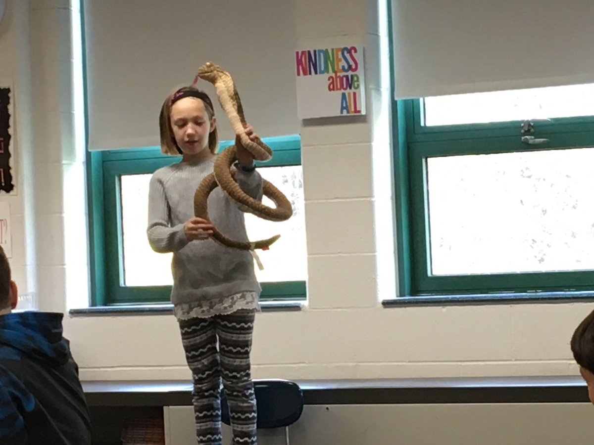 DmsWolves's tweet image. History class - “inanimate objects that describe us” assignment