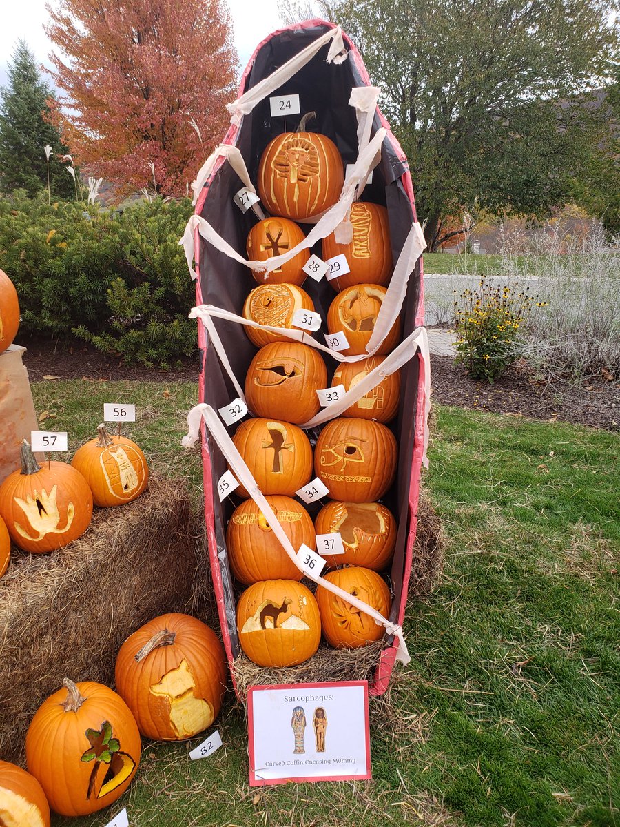 Aldo Deodino (@adeodino) on Twitter photo Take a look at #HPArt's display at Crystal Springs. Vote tonight for your favorite pumpkin! Students carved 60 pumpkins to make this display. Thank you Ms. Hodgins, Ms. Meyers, Mrs. Shenise, and Mr. Seck! #HPArt #HPPumpkins <a href="/HPRwildcats/">High Point Regional High School</a> <a href="/JonTallamy/">Jon Tallamy</a> <a href="/SeamusWCampbell/">Seamus Campbell</a> <a href="/ErinMeyers_9/">Erin Meyers</a> Take a look at #HPArt's display at Crystal Springs. Vote tonight for your favorite pumpkin! Students carved 60 pumpkins to make this display. Thank you Ms. Hodgins, Ms. Meyers, Mrs. Shenise, and Mr. Seck! #HPArt #HPPumpkins <a href="/HPRwildcats/">High Point Regional High School</a> <a href="/JonTallamy/">Jon Tallamy</a> <a href="/SeamusWCampbell/">Seamus Campbell</a> <a href="/ErinMeyers_9/">Erin Meyers</a>