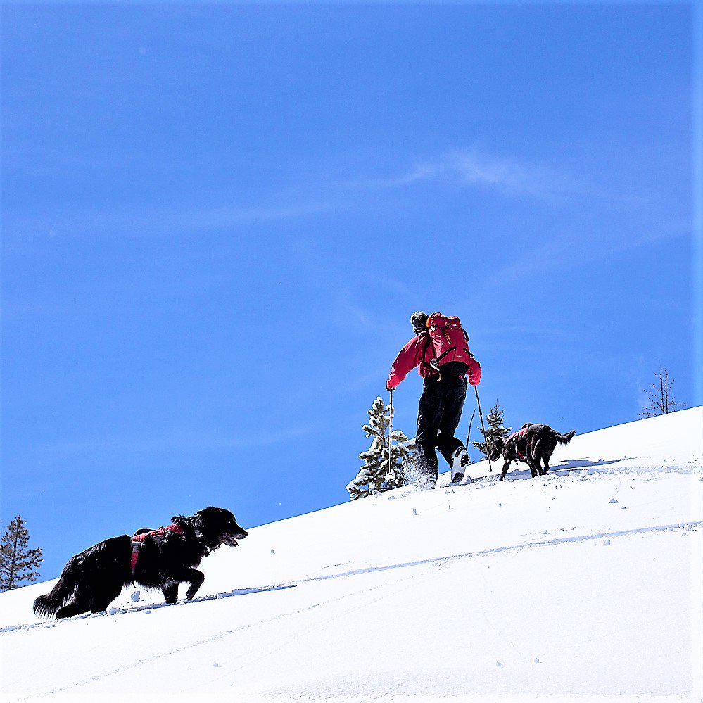 GORETEXna's tweet image. Heading out for some adventure in your GORE-TEX gear this weekend? Grab a photo or video and post to Instagram. Tag @goretexna and use #TestedForLIfe to be entered to win a trip to Glacier National Park. 

Dogs not required, but it can&apos;t hurt your chances!