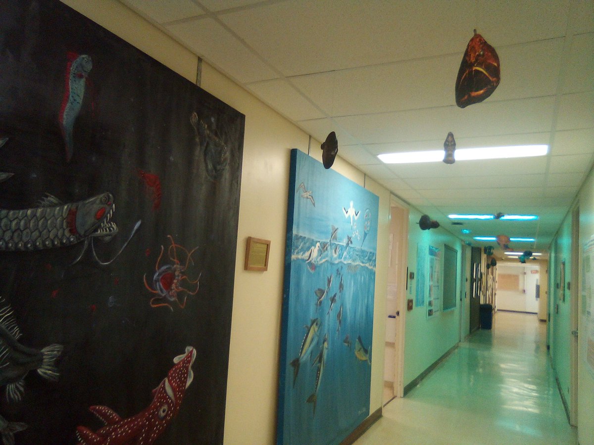 JGrient's tweet photo. Fish in the hallway?! Come and check it out on #soestopenhouse today and tomorrow https://t.co/jU31S8fQhM