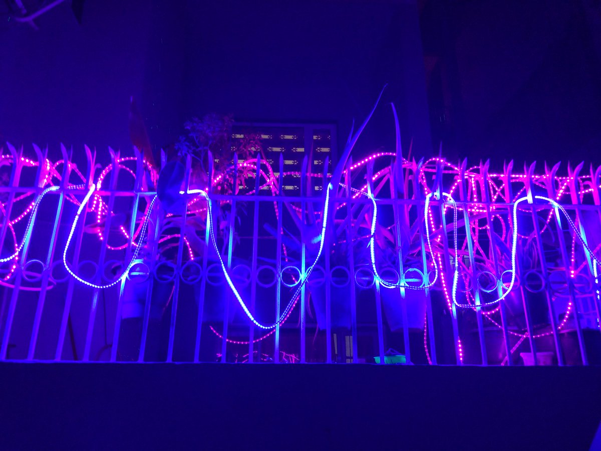 poojabirdword's tweet photo. Because we're all differently wired
#Diwali #myneighbourhood #notmydecor https://t.co/QFcWtps30K