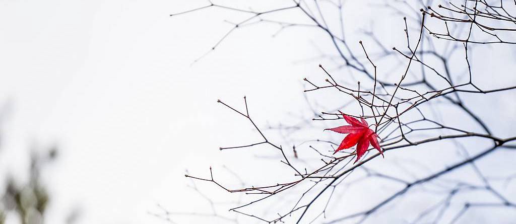 Spring? But it's only fall! I know it seems early but time flies and before the last leaf falls we hit our first right of refusal for spring 2019 vendors. Reach out to your rep before Nov 14 to secure your spot with a contract and deposit. Don't miss out on the BIG one!