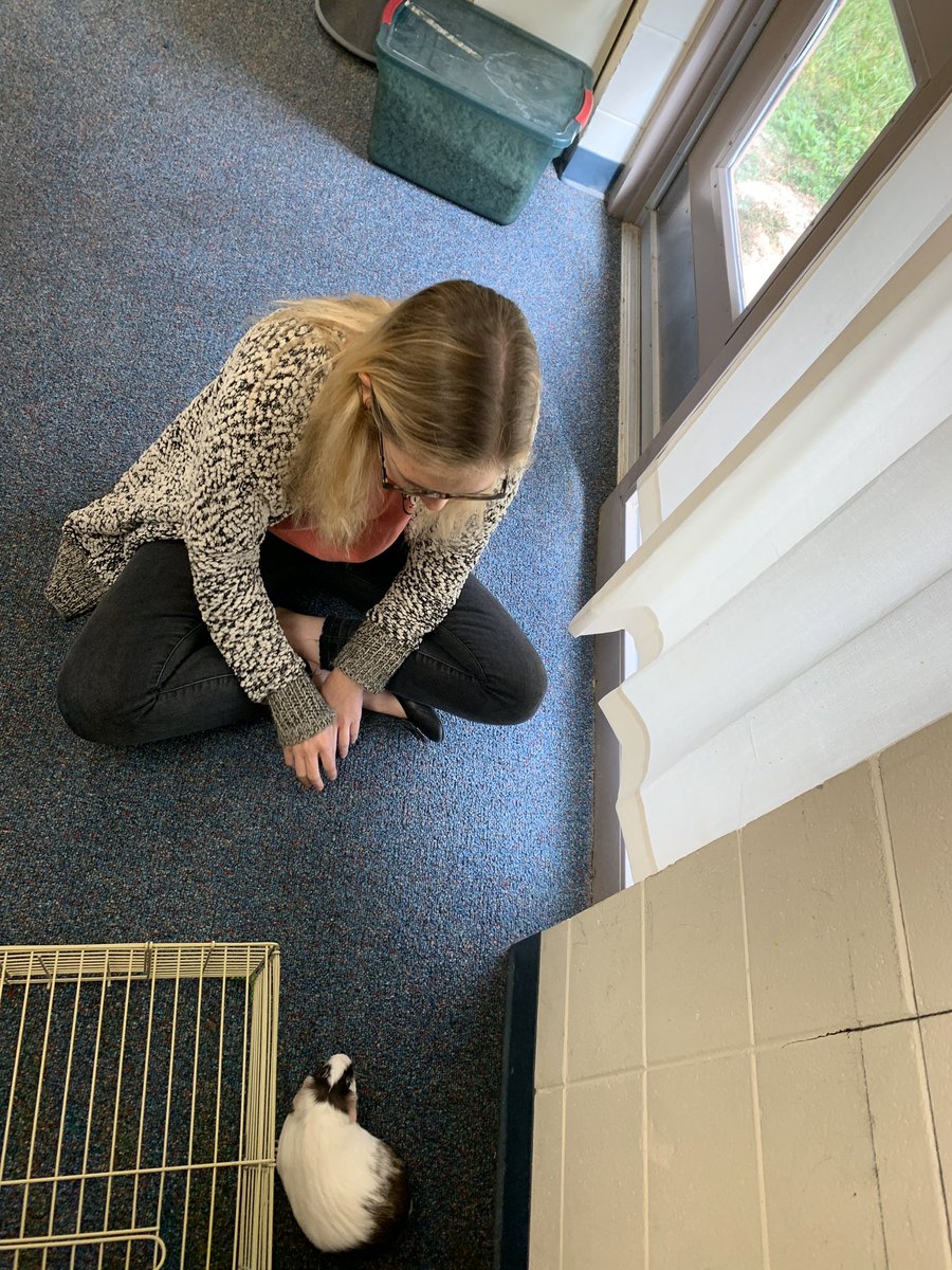 waddellsworld's tweet photo. What 7th grade teachers do on a Friday during the last ten minutes of planning!! #newclasspet @BryanCountyMS https://t.co/6nZGlDR5R9