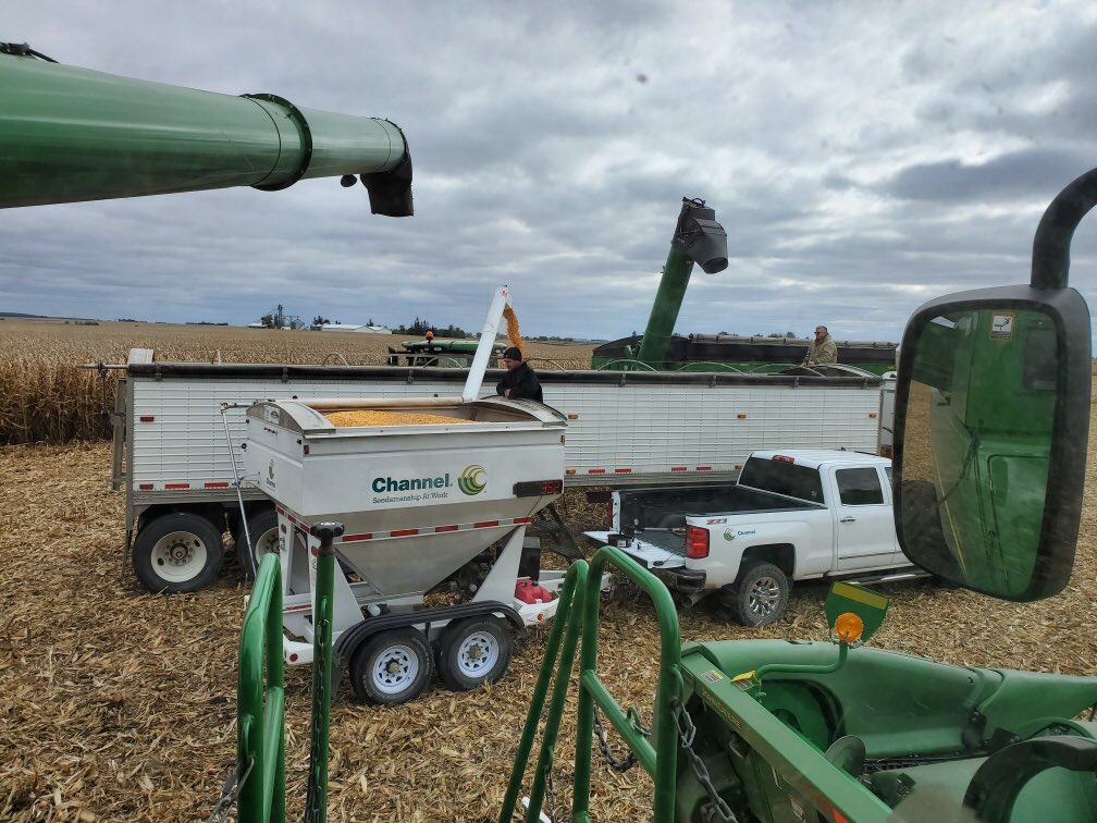 cbseeds's tweet photo. Yield Check-Yield Alert Channel 214-45dgvt2–271.3 bu/acre dry yield  harvest at 23% #fieldcheckfriday #harvest19 @ChannelSeed @climatecorp https://t.co/1wCUkzTMG8