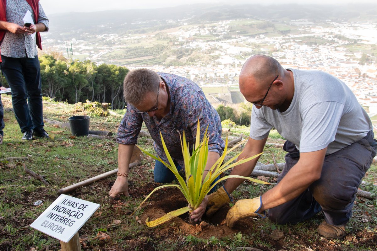 Planted some trees at the Azores for each island in the project. Thanks <a href="/InnovationOfAz/">Islands of Innovation Azores</a> for hosting this amazing meeting!