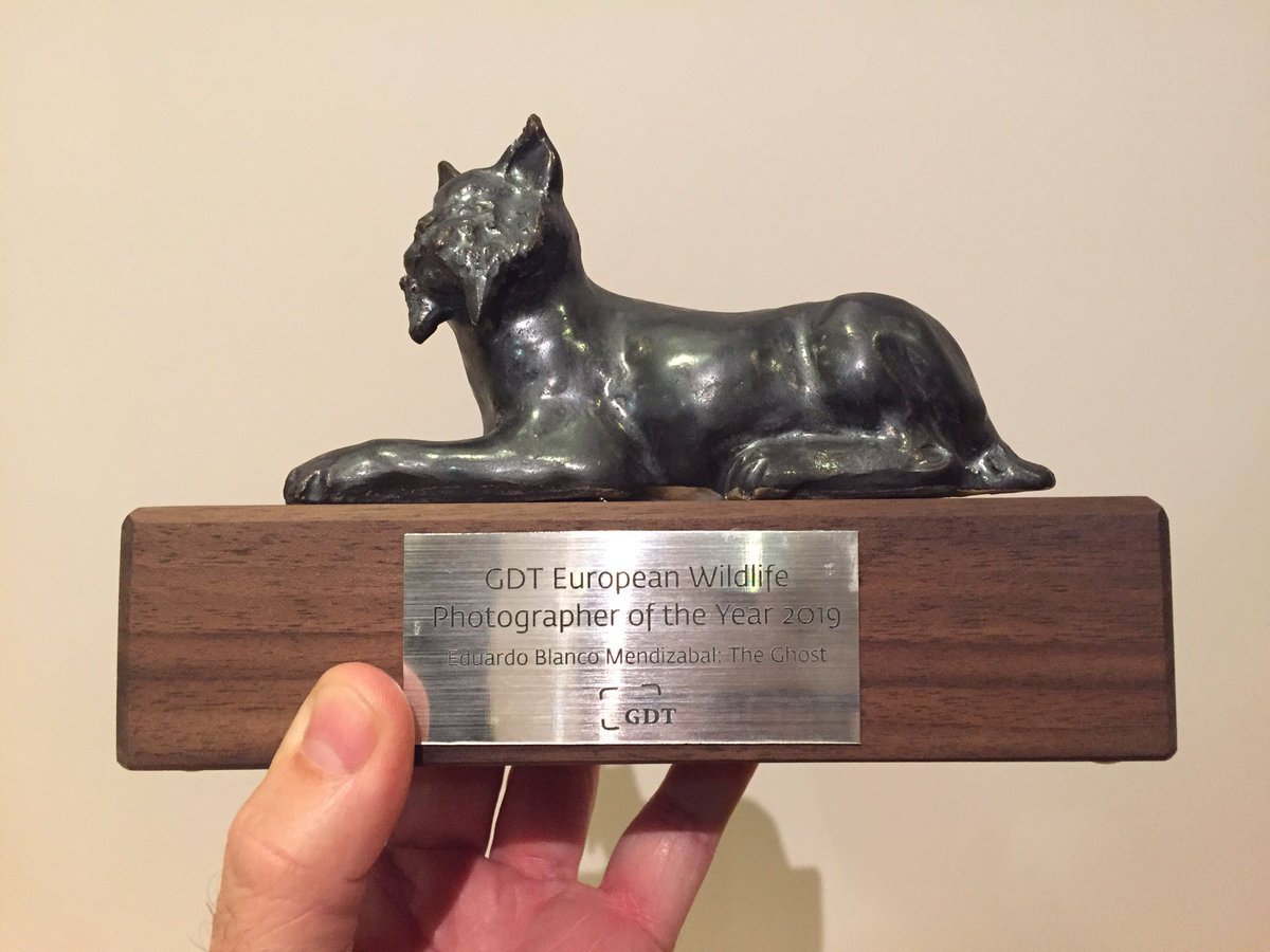 He ganado el European Wildlife Photographer oh the year 😍😍😍