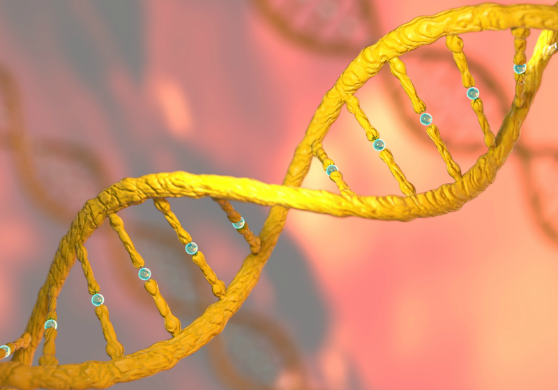 Read about this new gene editing method with potentially fewer off-target effects than CRISPR-Cas9

the-scientist.com/news-opinion/n…