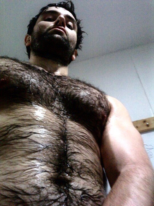 Hairy Men Lover (@kev75021) on Twitter photo 