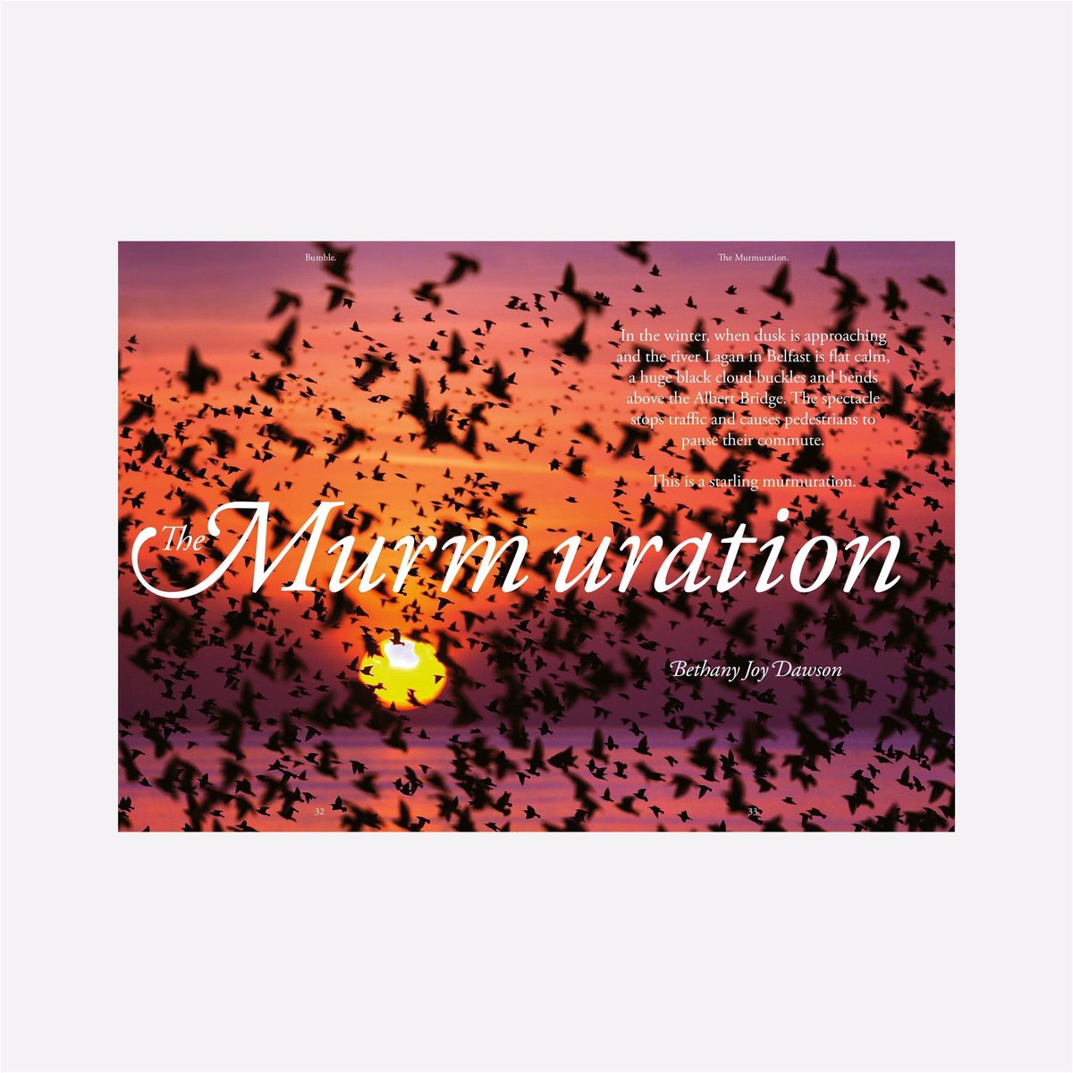 BumbleMagazine's tweet image. 🐝 Issue three of bumble is out now! 🐝 

bumblemagazine.co.uk