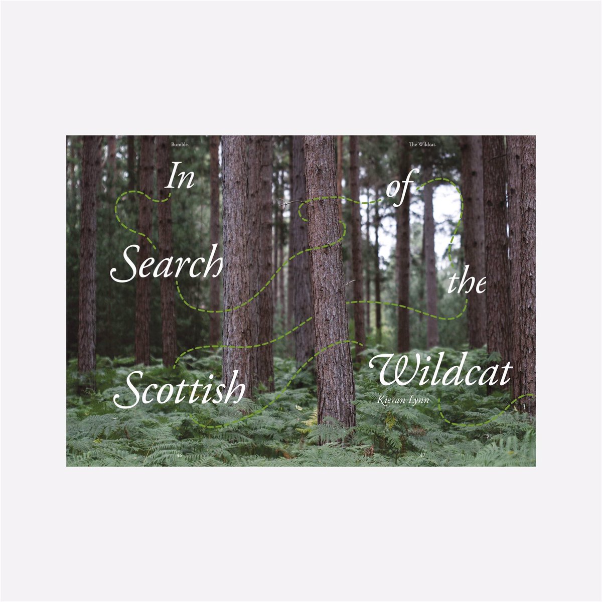 BumbleMagazine's tweet image. 🐝 Issue three of bumble is out now! 🐝 

bumblemagazine.co.uk