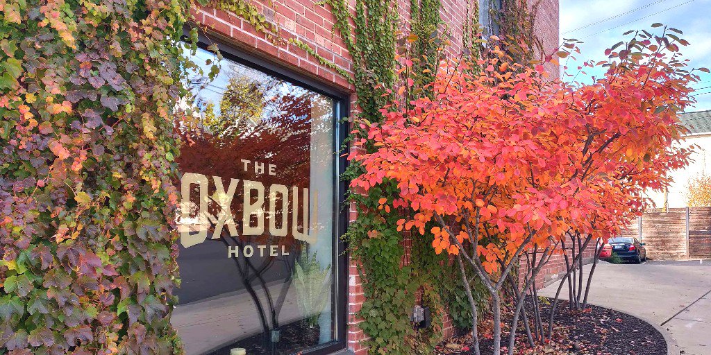 OxbowHotel's tweet photo. 🍁🍂We might be a little biased, but we think Autumn looks pretty good on us
#oxbowhotel #boutiquehotel #captureec #visiteauclaire #travelwisconsin #discoverwisconsin #wisconsingetaway #autumnvibes #autumncolors #bostonivy #fallcolors https://t.co/0hpRlZcxJc