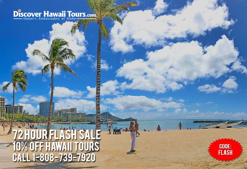 DiscoverHawaii's tweet photo. https://t.co/oA4mhryQ1Q Happy Aloha Friday! We are back with our 72 Hour Flash Sale. Book Hawaii tours now and get 10% Off with code FLASH. Hurry, offer expires soon! #visithawaii #hawaiitours #pearlharbortours #arizonamemorial #beaches #sand #volcanotours https://t.co/DP9Wk1XheW