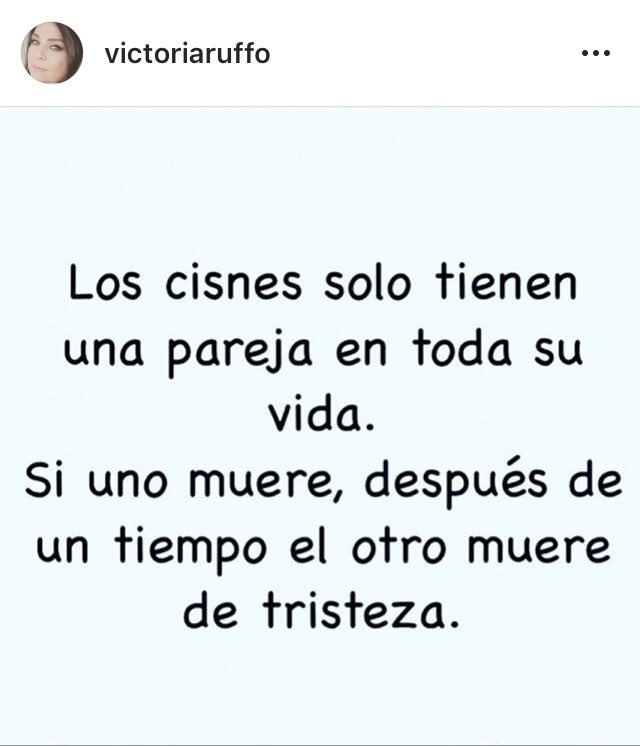StoryTellerX_'s tweet photo. Mi Vicky 😭😭😭😭 https://t.co/iKZyJo4nbX