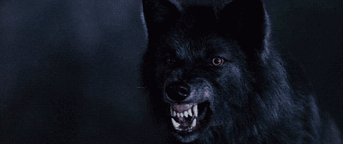 CoachDBartel's tweet photo. #GameDay in #TheWoods! 'Stangs vs. Wolves!

It's a #BlackOut on #SeniorNight so you know it's going to be good!

Tailgate at 5:30, Kickoff at 7:00!

See you there!

#WSPS https://t.co/jlNcYPQlp1