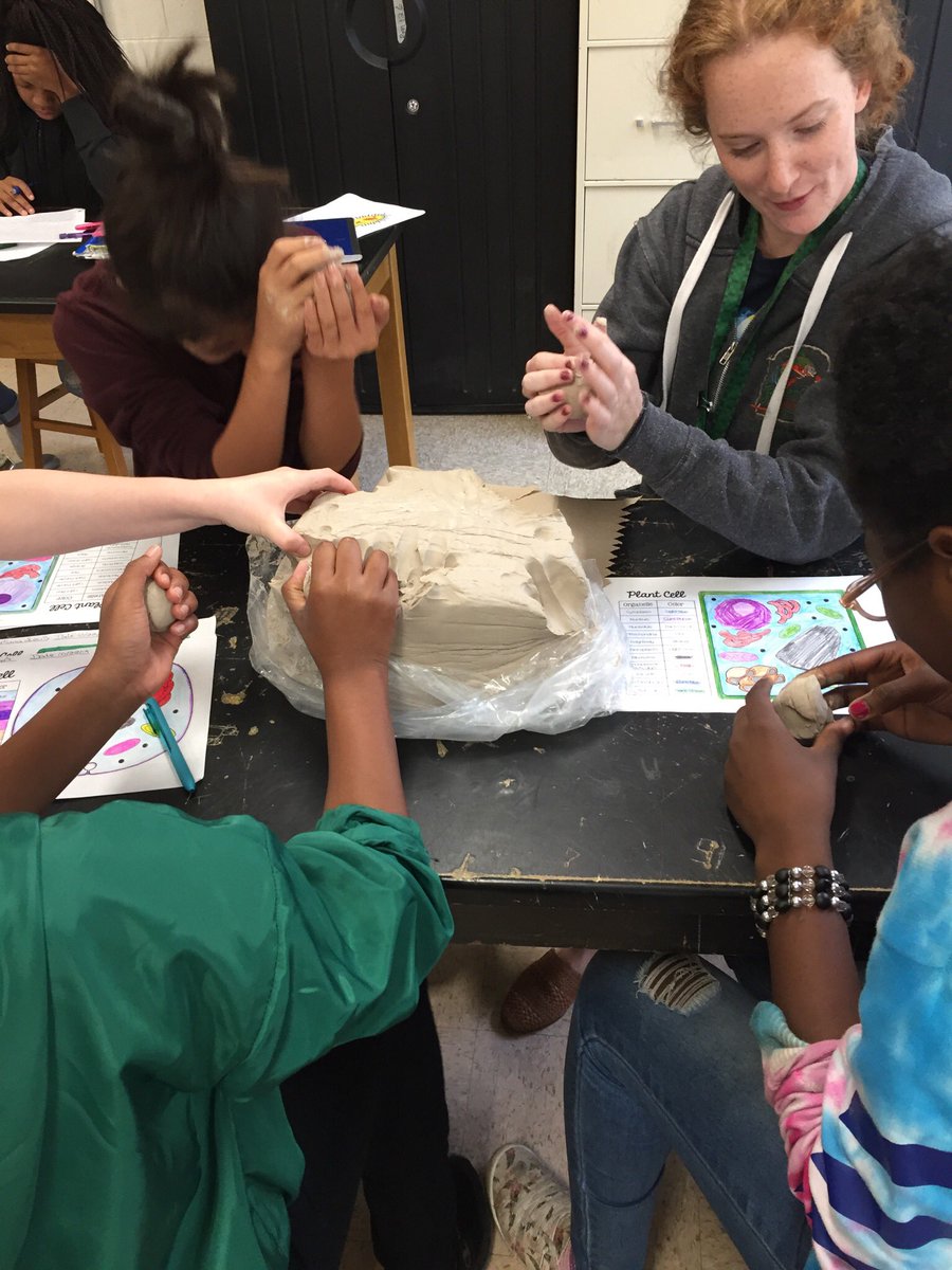 RSMS_Leopards's tweet image. Art teacher Miss Wolf works with Mrs. Loughman&apos;s science student to create clay cell models. #crosscurriculumteaching @SampsonSchools
