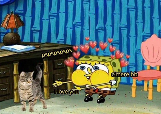 Reaction Pics More On Twitter Spongebob With A Cat reaction pics more on twitter