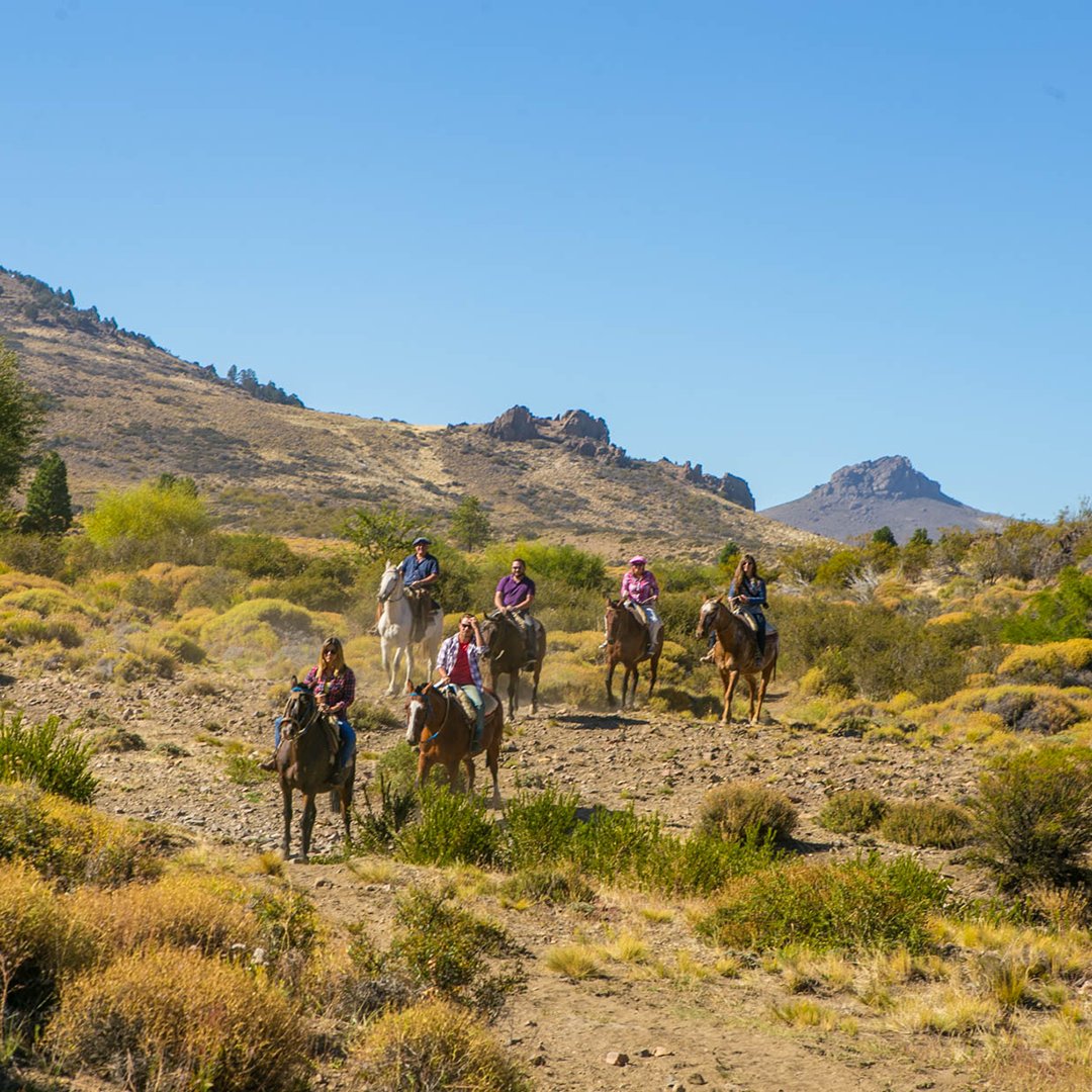 Bariloche_ar's tweet photo. Sintiéndonos todos unos pioneros cabalgando la estepa.🐴😁
#Bariloche #PrimaveraConTodo
https://t.co/3kvFYMkSS4 https://t.co/0Tuvfvgjtn