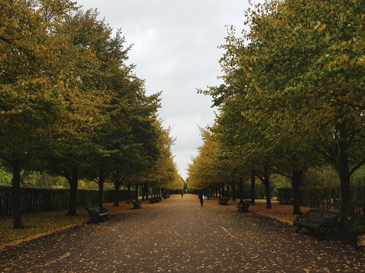 Regent's Park, London, England, 2019