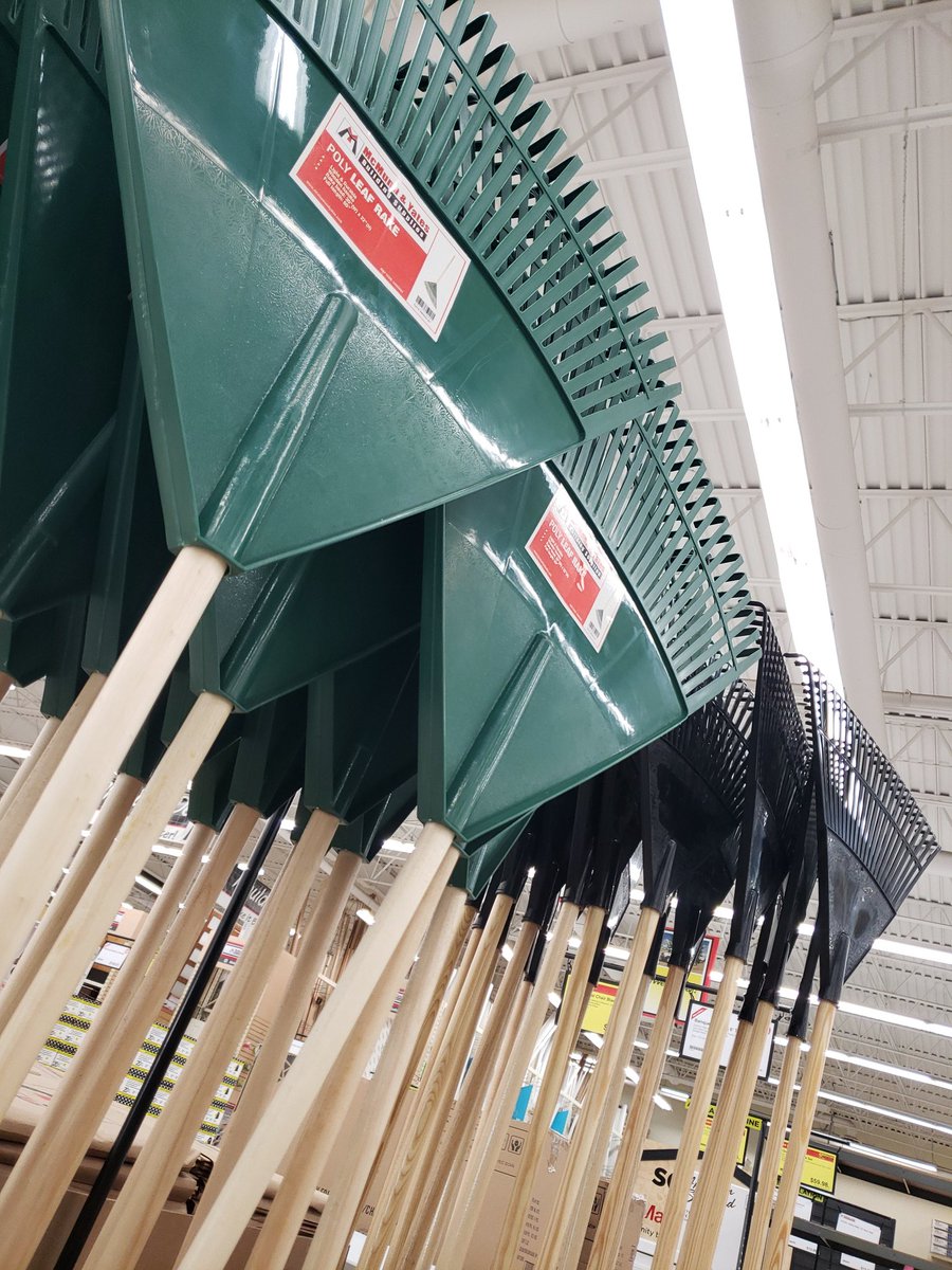 McMunnandYates's tweet photo. ๐ Sun's out, Rakes out!
๐๐๐
https://t.co/F3qS8UnAFH
Don't forget to grab some lawn bags and #supportlocal โค
#makeitbetter #rakeit #fall #weekend https://t.co/qxGdG7gGzW