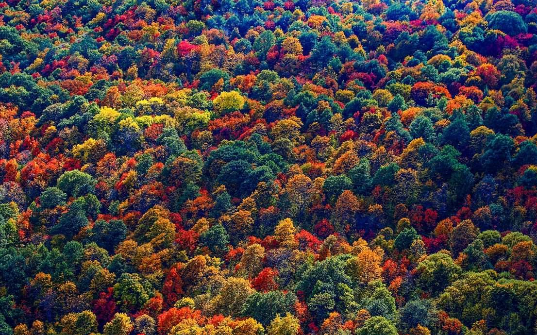 Осень армения Осень армения