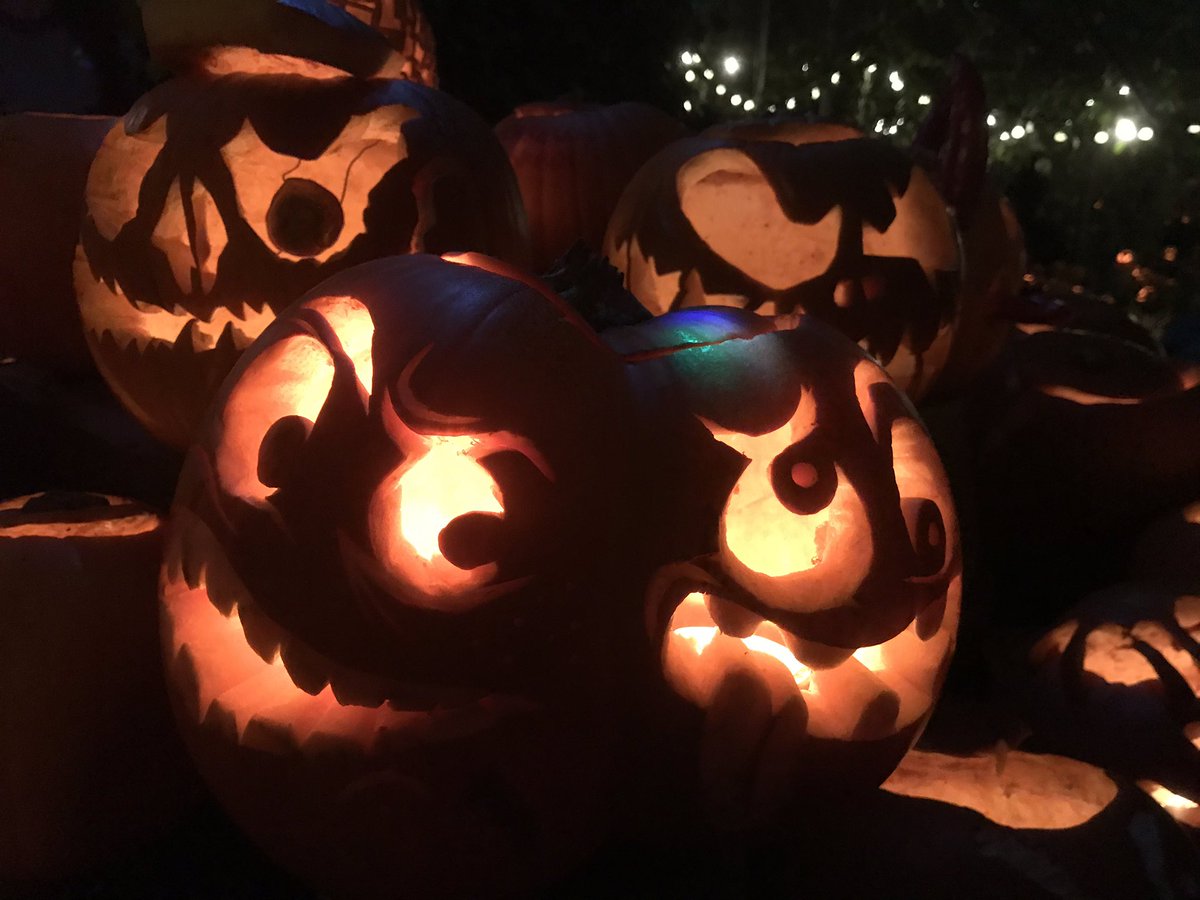 Our annual Eastern Curve delight! Thank you for bringing us autumn joy and happiness <a href="/EasternCurve/">Dalston Curve Garden</a>