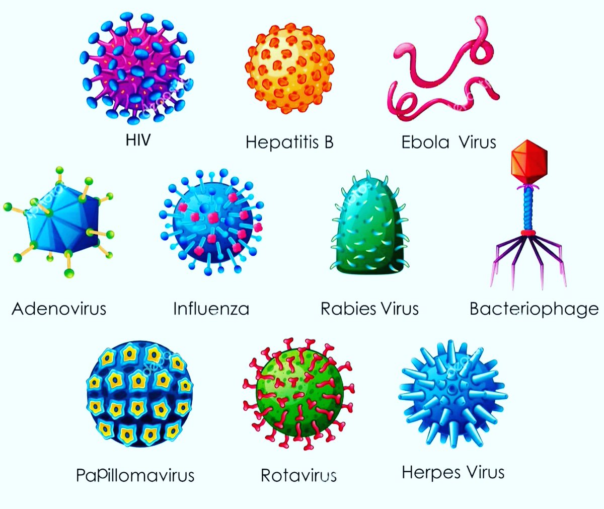 mICROBIOsh's tweet photo. Sólo quería compartir algo viral 😭😂 https://t.co/wXCKPYCCp1