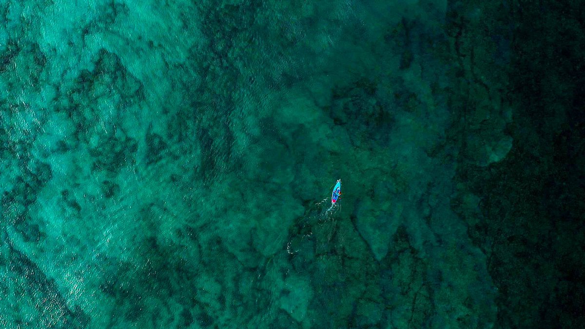 “Así, los océanos y los mares forman el conjunto de agua más extenso de nuestro mundo, cubriendo más del setenta por ciento de la superficie terrestre; lo que los hace indispensables para la creación de la vida y esenciales para la pervivencia de los seres humanos” #ocean