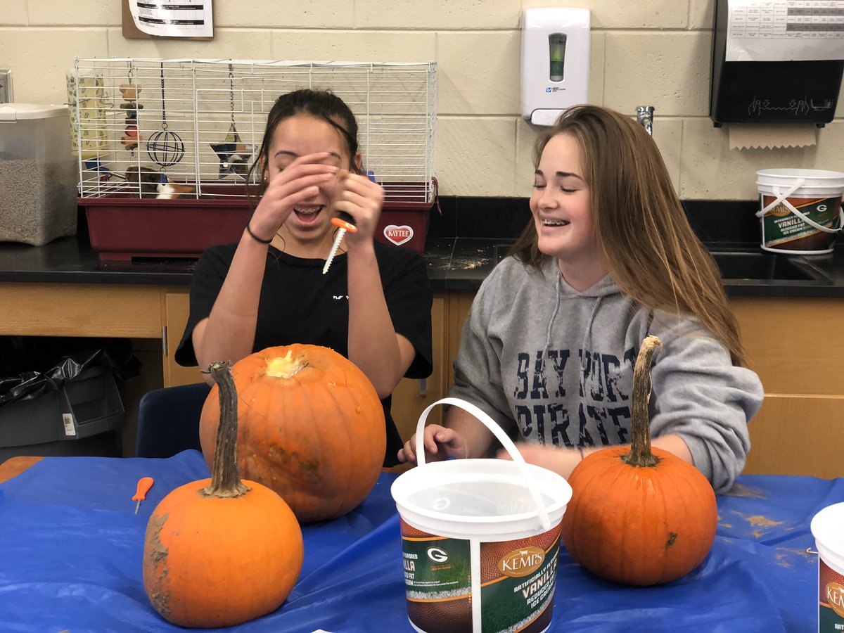 Bay Port Ag Ed tweet media