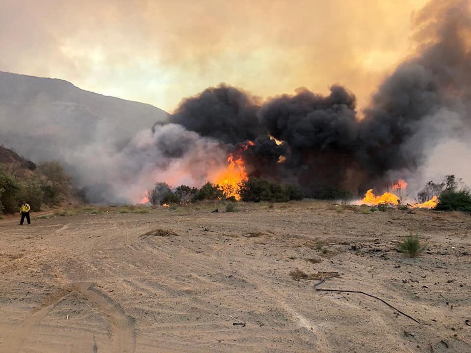 AlexinBaja's tweet photo. Se les pide apoyo para los afectados por los incendios forestales en BC y particularmente en mi ciudad 🙏

🚨Centros de acopio en #Ensenada:

📍Delegación de El Sauzal 
📍Estación de bomberos 
📍DIF Municipal 

Agua y alimentos no perecederos. https://t.co/uylqS8BIkH