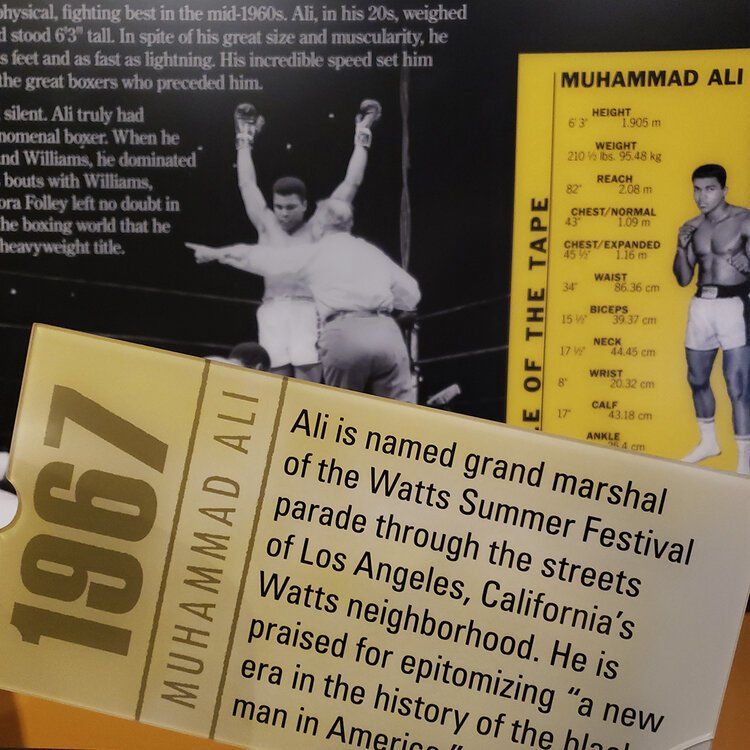 Ali epitomized a new era in the history of the black man in America 🌎
.
#MuhammadAli #BoxingChampion #PeoplesChoice #Boxing