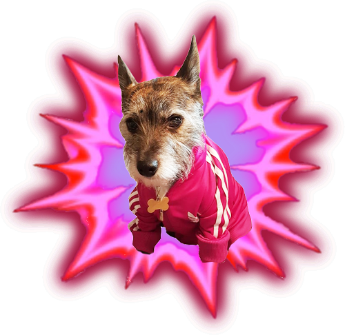 Estonian_Raider's tweet photo. My new stream follow and sub alert image is kinda cute! ππππ #MUTdog #ModernWarfareDog https://t.co/4FZNPyUTo5
