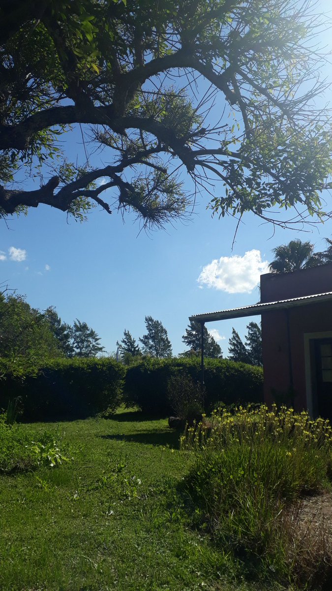 quiake's tweet photo. Solazooool
🍀🌺🌺🌺🌺😍
#viernesdesol #mujeres #viernesdeganarseguidores #campoargentino #primavera2019
#selfie #natural https://t.co/4UMdVaNlYP