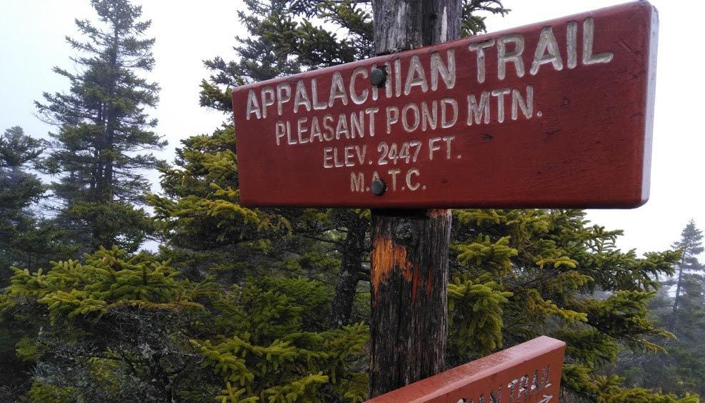 WanderingKM's tweet photo. Signs and more signs.
#signs #appalachiantrail #atclass2019 #hike #nature #travel #throughhike #youtube #twk #thelongwalk #thewanderingkiltsman https://t.co/7wpC9wKUtU