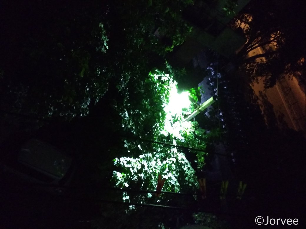 RashidJorvee's tweet image. #jorvee #rashid #rashidjorvee #newdelhi