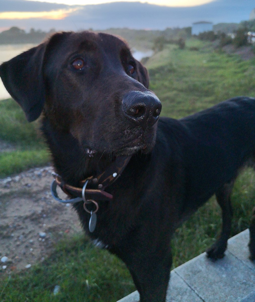 🐾Super, wir bleiben doch noch; denn Frauchen übt bellen und ne' feuchte Nase hat sie auch.🐾