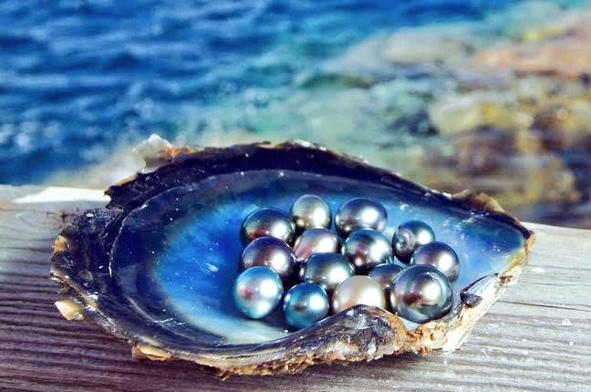 Neel1Neel's tweet photo. A VINTAGE ADOR
OF
BABY BLUE BLAZE
LUSTERS;
IN
AN INKINESS HUE
DAZZLE OF FACET.
#amwriting
#WritingRiver
#Writtingcommunity
#WRITER_POST
#Prose
#Baby_Blue_Blaze
#Madverse https://t.co/UqMCXF8H0Z