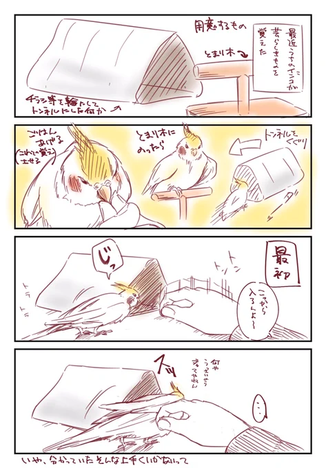 うちの子(オカメインコ )の話#鳥漫画 