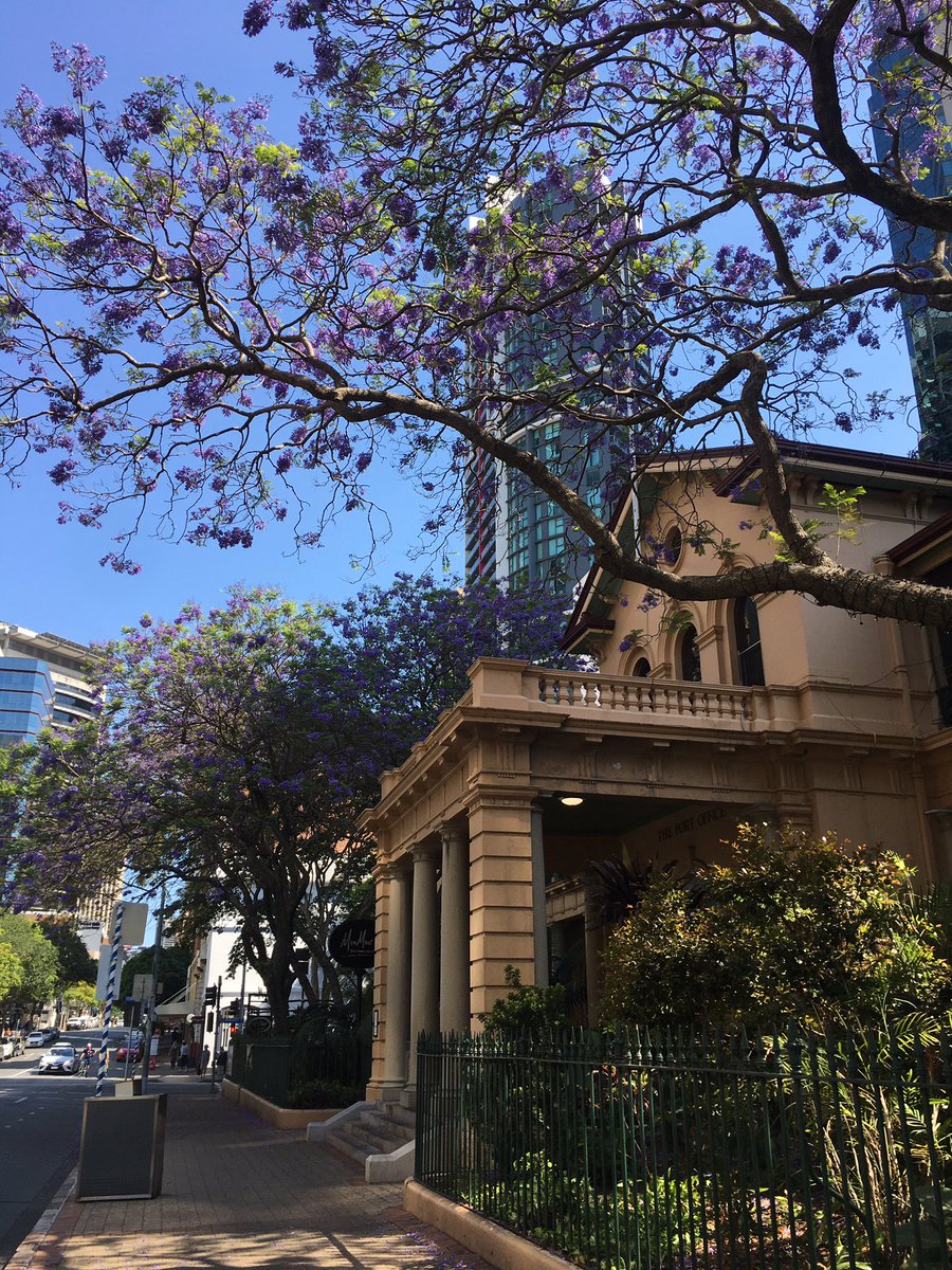 Enjoying the sunny Brisbane with the waterfront view and jacaranda in full bloom after the <a href="/FBNS_EMCR/">FBNS</a> - thanks to the hardwork of committee members and esp. <a href="/sohinee8/">Sohinee Sarkar</a> for leading the team and putting up a wonderful and successful event. <a href="/ARCCoEBionano/">CBNS</a>