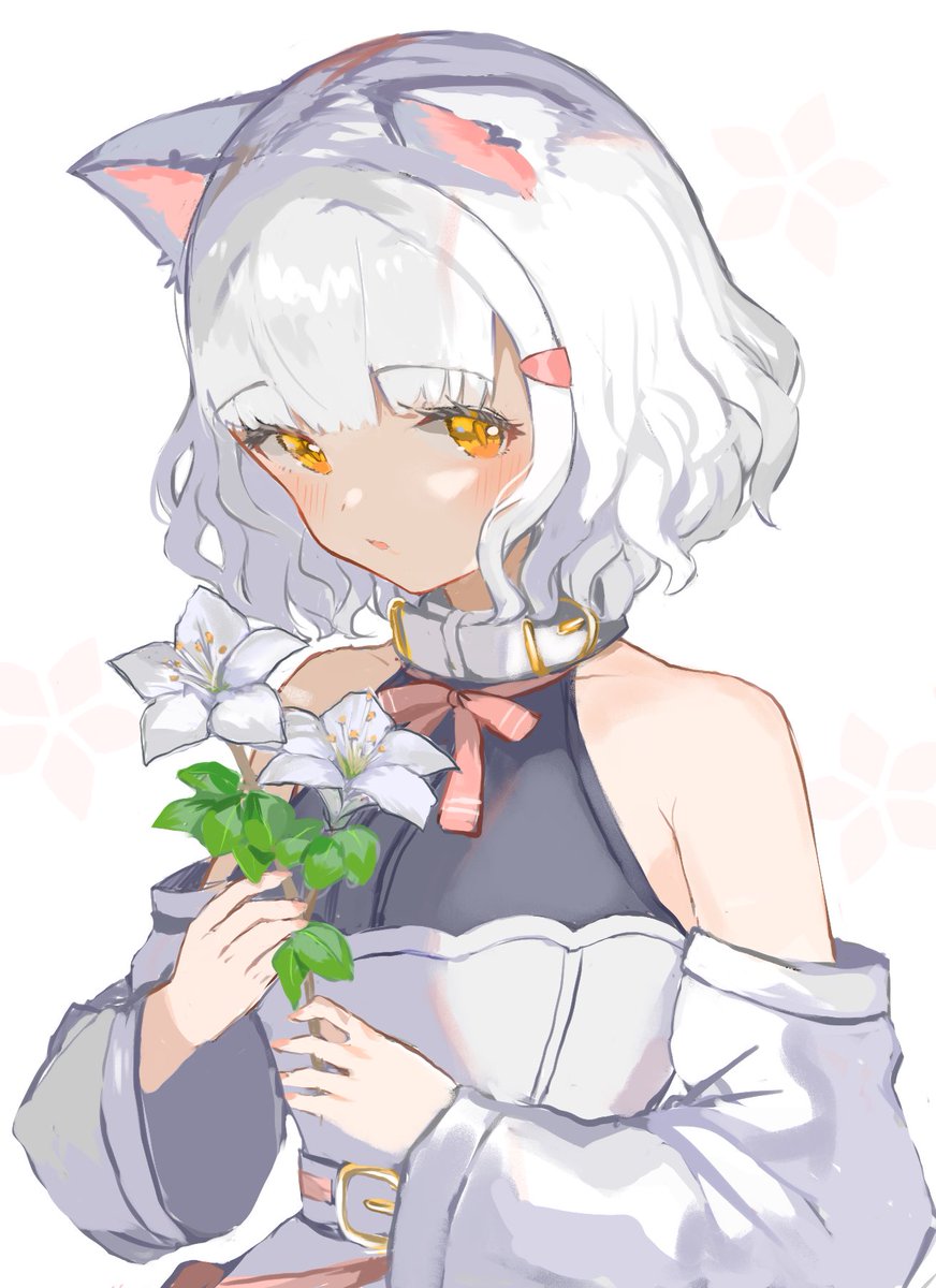 1girl animal ears flower solo white hair holding cat ears  illustration images