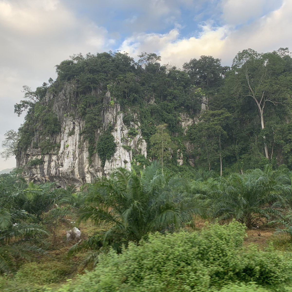 Beautiful limestone cliffs between Merapoh and Gua Musang. Some covered in fog and some do not. The train is really set at speed due to the downward gradient.