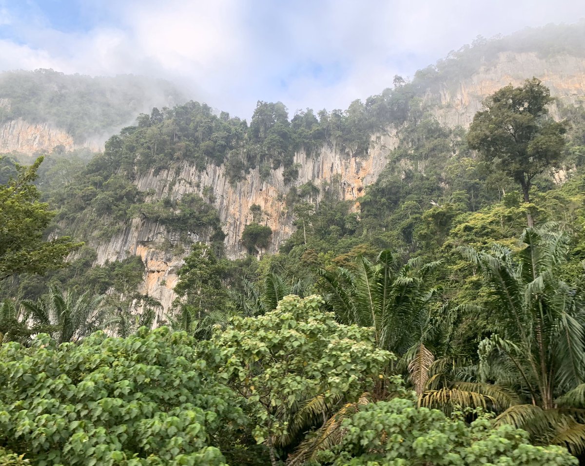 Beautiful limestone cliffs between Merapoh and Gua Musang. Some covered in fog and some do not. The train is really set at speed due to the downward gradient.