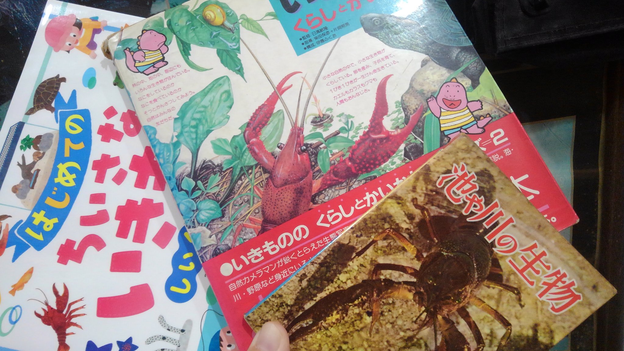 オイカワ丸 右から1957年 19年 18年に出発された子供向けの生き物飼い方本 すべての表紙にアメリカザリガニが鎮座しています 外来種としての生態系影響は甚大ですが 一方でこういう存在であるということはよく考えないといけないわけです