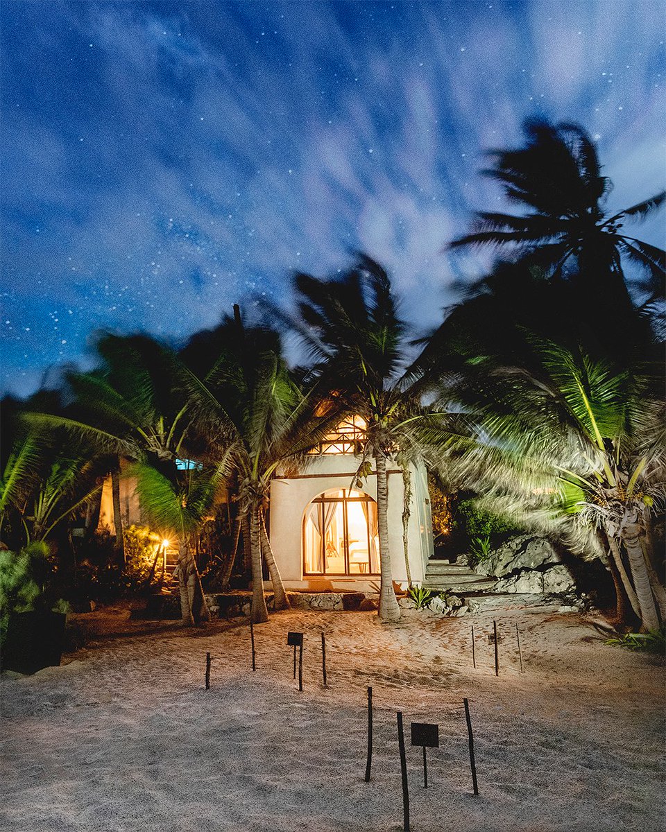 PapayaPlaya's tweet photo. The natural attraction of the mystery of the stars, and of all other creation oblivious to our world, is not something exclusive to this century.#Treehouse #night #Designhotels #Sustainability #Mexico #Traveldeeper #ocean #palm #turtles #stars #sky https://t.co/LVvDui9U12