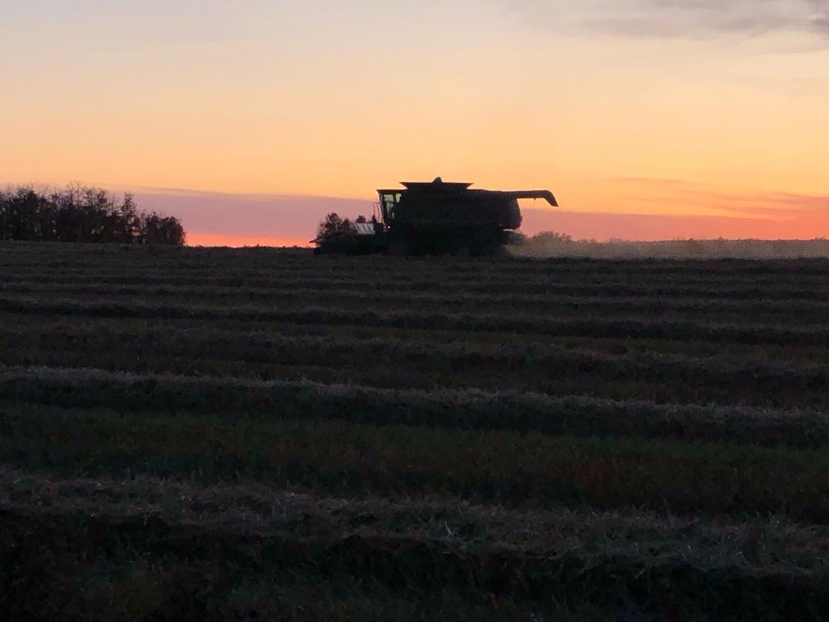 EHarakal's tweet photo. #AgTwitter #FarmSunset @Bayer4CropsCA https://t.co/XirD2bH6zT