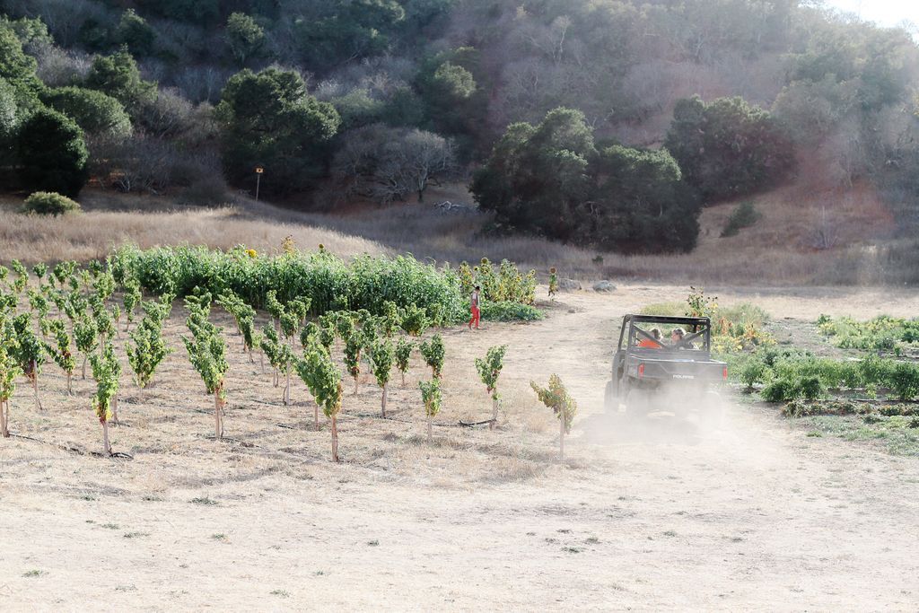 Woohoo! It's Friday! We're outta here, time for a glass of Vin Gris. #cheers #friyay 🚗💨
.
.
.
#BonnyDoonVineyard #BornToRhone #FreakinWeekend #roseallday #roséallday #yeswayrosé #drinkpink #vineyard #vineyardlife #winemaker #winemaking #harvest2019